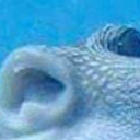 สมาชิกหมายเลข 5031123