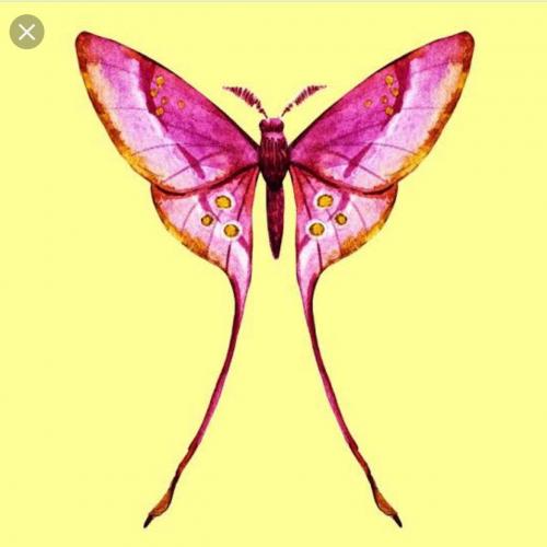 สมาชิกหมายเลข 1820841