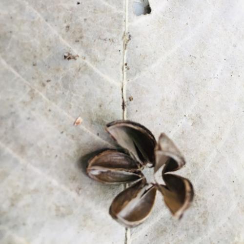 สมาชิกหมายเลข 5423183