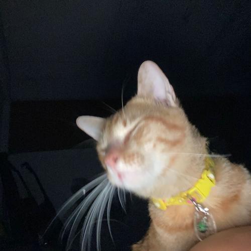 สมาชิกหมายเลข 5417266