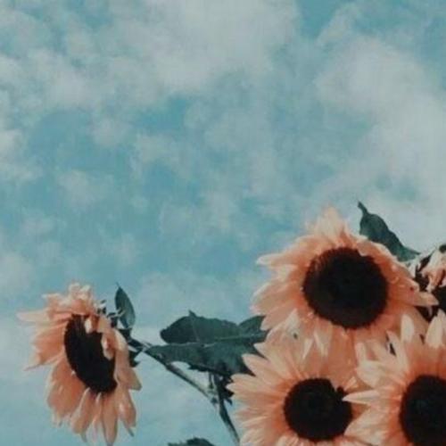 สมาชิกหมายเลข 6541162