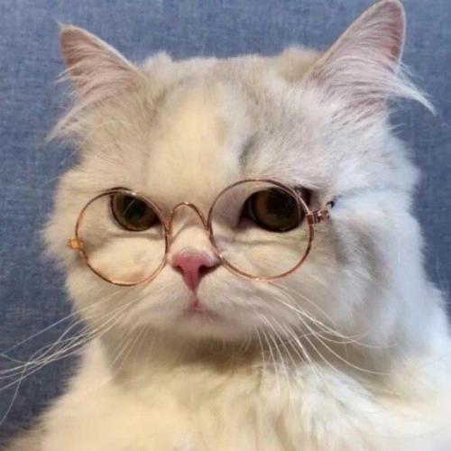 สมาชิกหมายเลข 6541178