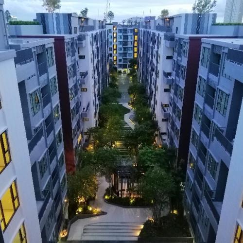 สมาชิกหมายเลข 6541196