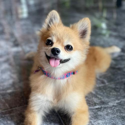 สมาชิกหมายเลข 4933689