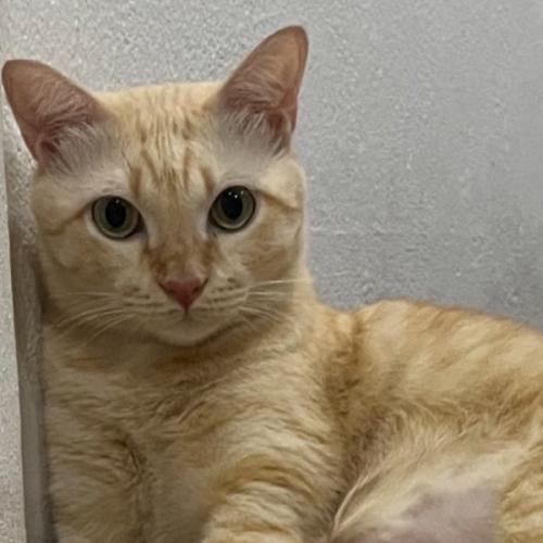 สมาชิกหมายเลข 1229292