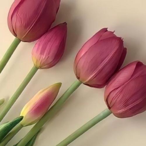 สมาชิกหมายเลข 8080978