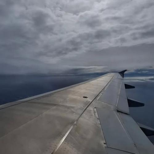 เด็กชายปลาวาฬ