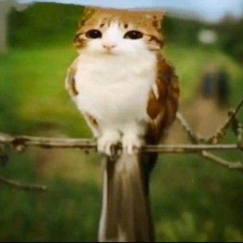 สมาชิกหมายเลข 8223447