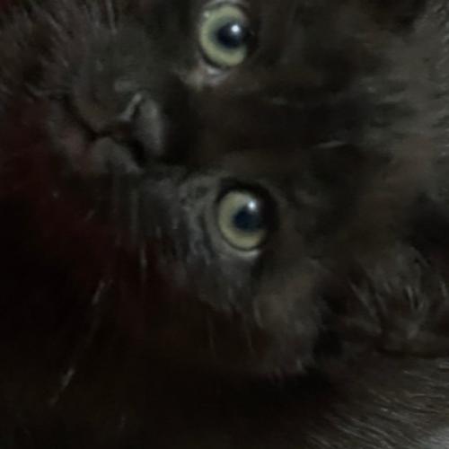 สมาชิกหมายเลข 996025