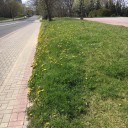 สมาชิกหมายเลข 3787429