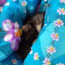 สมาชิกหมายเลข 4286943