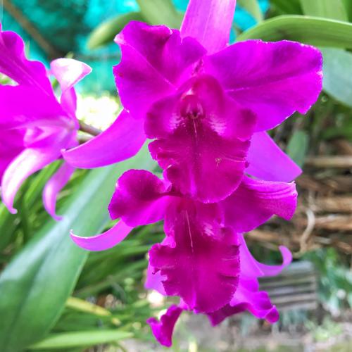 สมาชิกหมายเลข 4287670