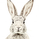 สมาชิกหมายเลข 1129227