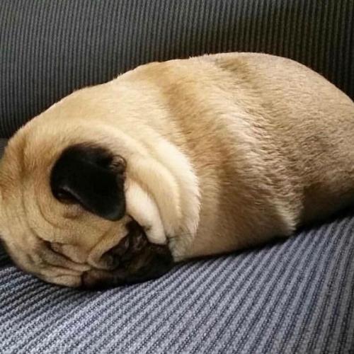 สมาชิกหมายเลข 4660794