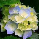 สมาชิกหมายเลข 5029829