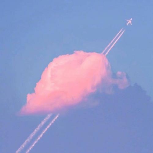 สมาชิกหมายเลข 5173898