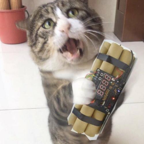 สมาชิกหมายเลข 5340716