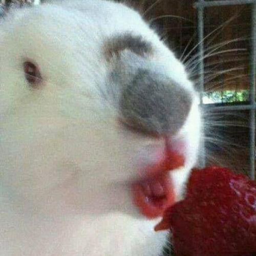 สมาชิกหมายเลข 5410189