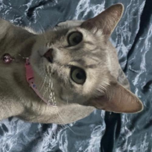 สมาชิกหมายเลข 1920224