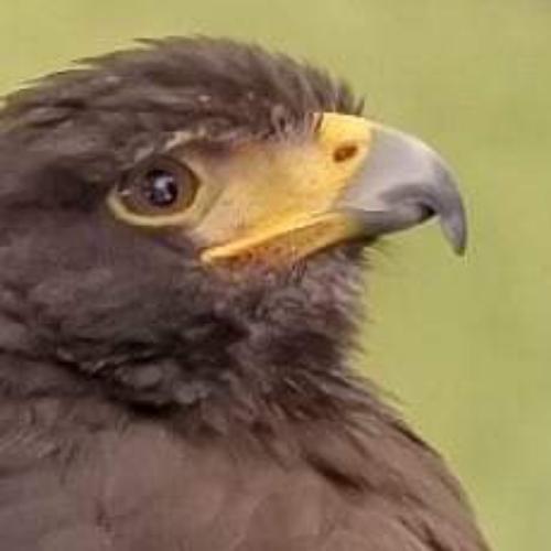 สมาชิกหมายเลข 3672499