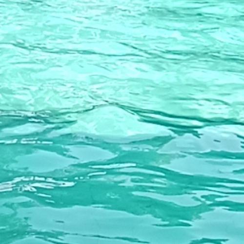 สมาชิกหมายเลข 8081987