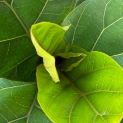 สมาชิกหมายเลข 9104958