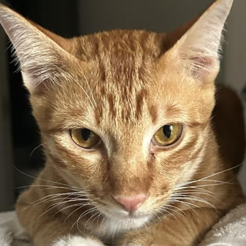 สมาชิกหมายเลข 966419