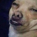 สมาชิกหมายเลข 4287913