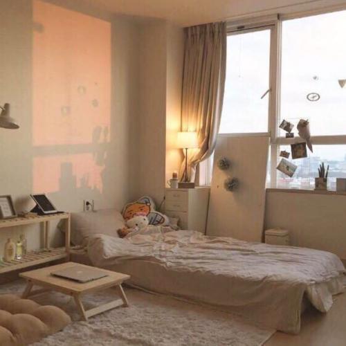 สมาชิกหมายเลข 1655355