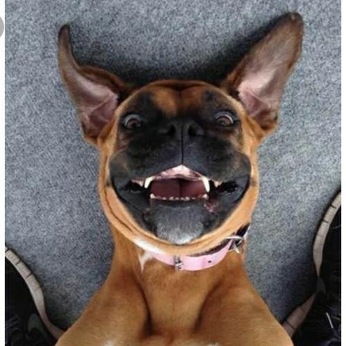 สมาชิกหมายเลข 5031530