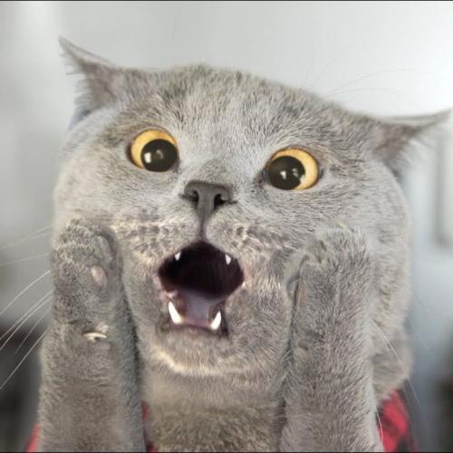 สมาชิกหมายเลข 5178654