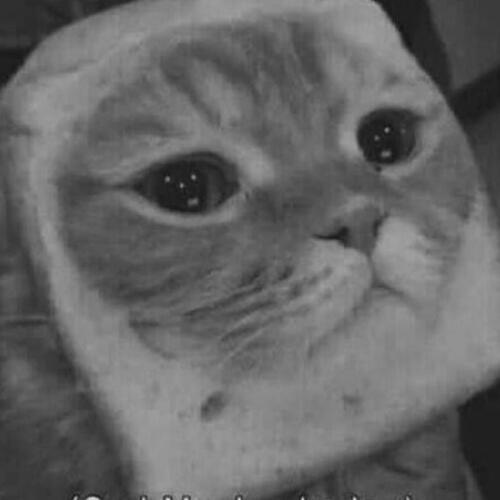 สมาชิกหมายเลข 5422526