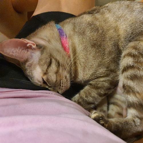 สมาชิกหมายเลข 1664705