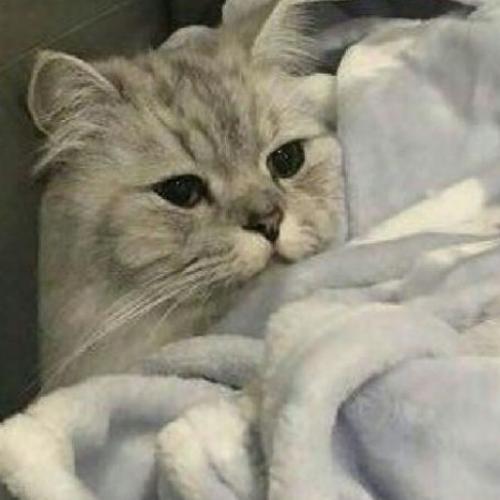 สมาชิกหมายเลข 4827714