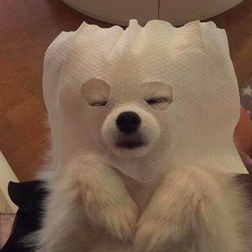 สมาชิกหมายเลข 6542215