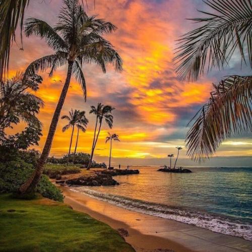 สมาชิกหมายเลข 6704937