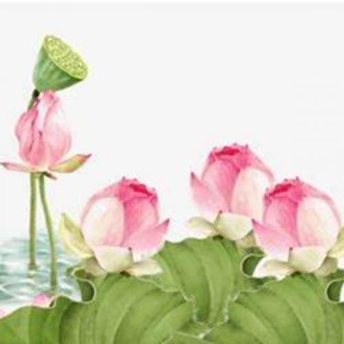 สมาชิกหมายเลข 3814503