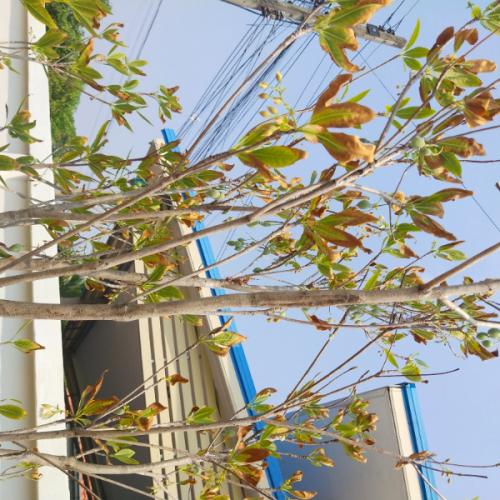 สมาชิกหมายเลข 6338895