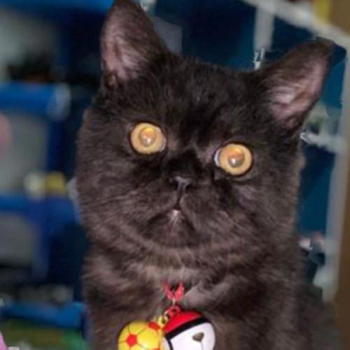 สมาชิกหมายเลข 7952462