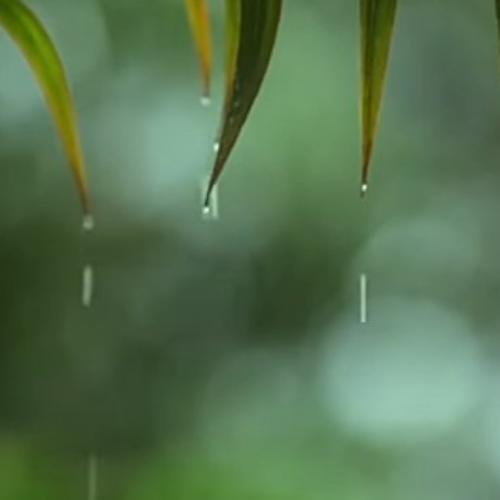 สมาชิกหมายเลข 7974857