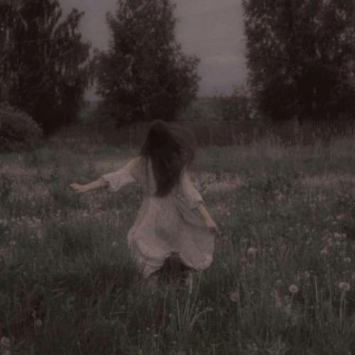 สมาชิกหมายเลข 9104711