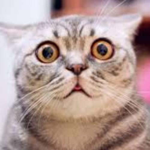 สมาชิกหมายเลข 9107049