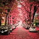 สมาชิกหมายเลข 3822931