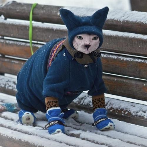 สมาชิกหมายเลข 3567280