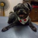 สมาชิกหมายเลข 4288766