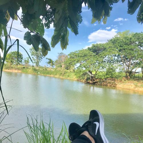 สมาชิกหมายเลข 4668519