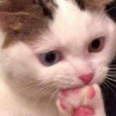 สมาชิกหมายเลข 5420917