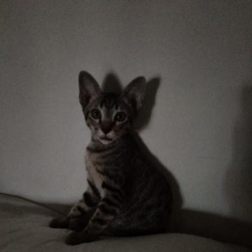 สมาชิกหมายเลข 5938504