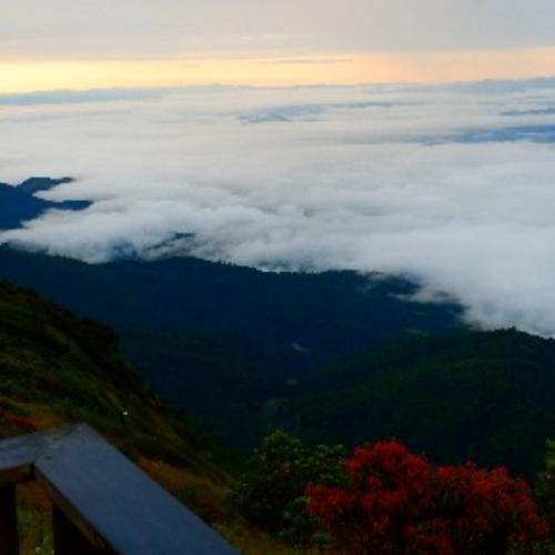 สมาชิกหมายเลข 5938890