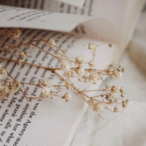 สมาชิกหมายเลข 6091516